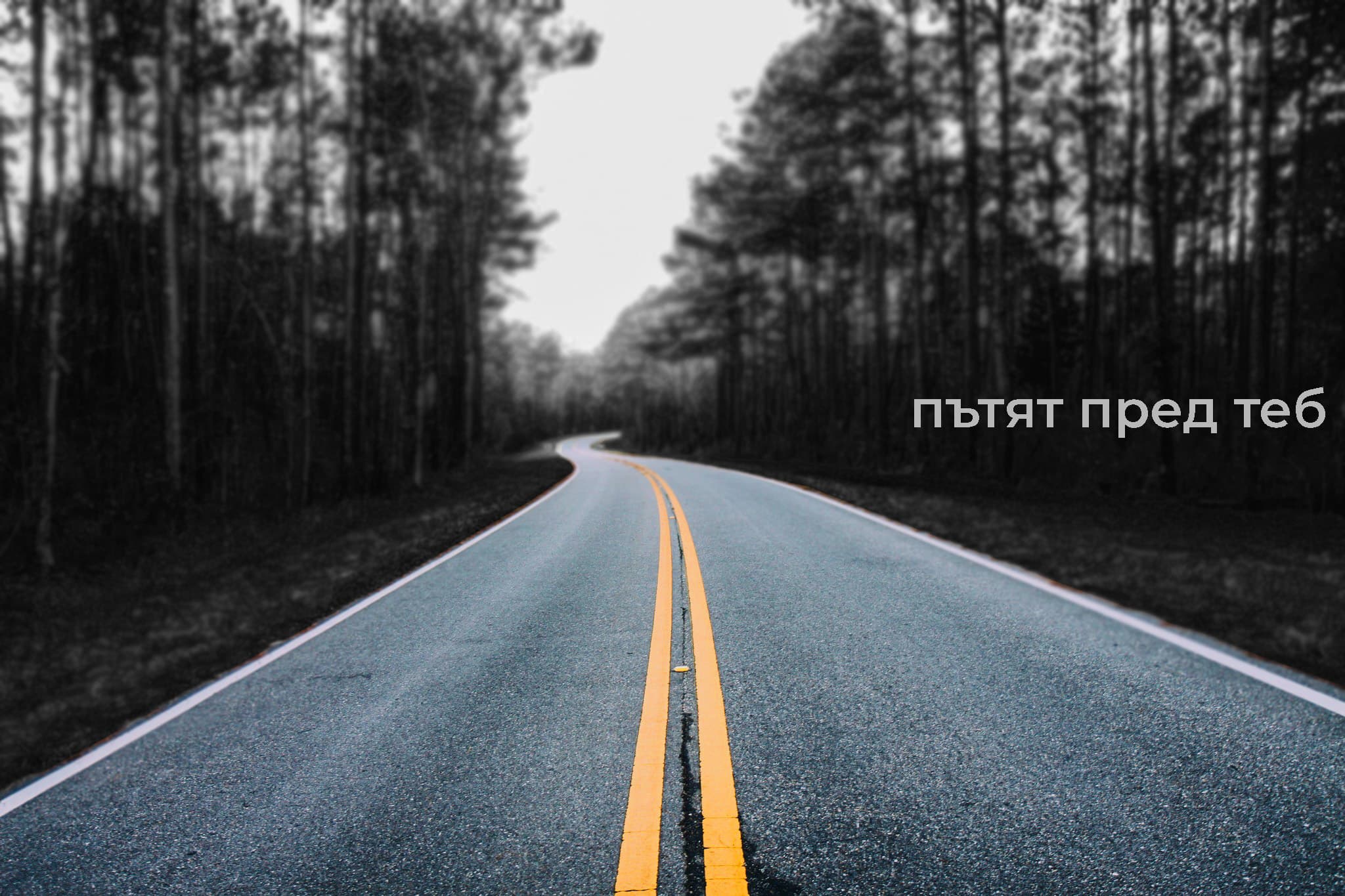 Photoshop & Illustrator Works — 5