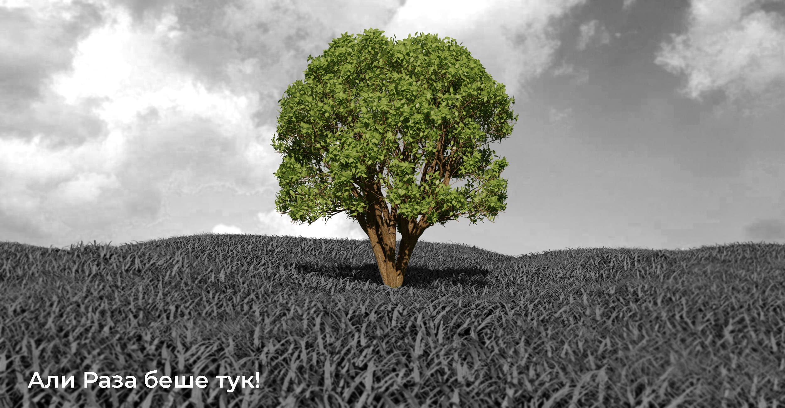 Photoshop & Illustrator Works — 7